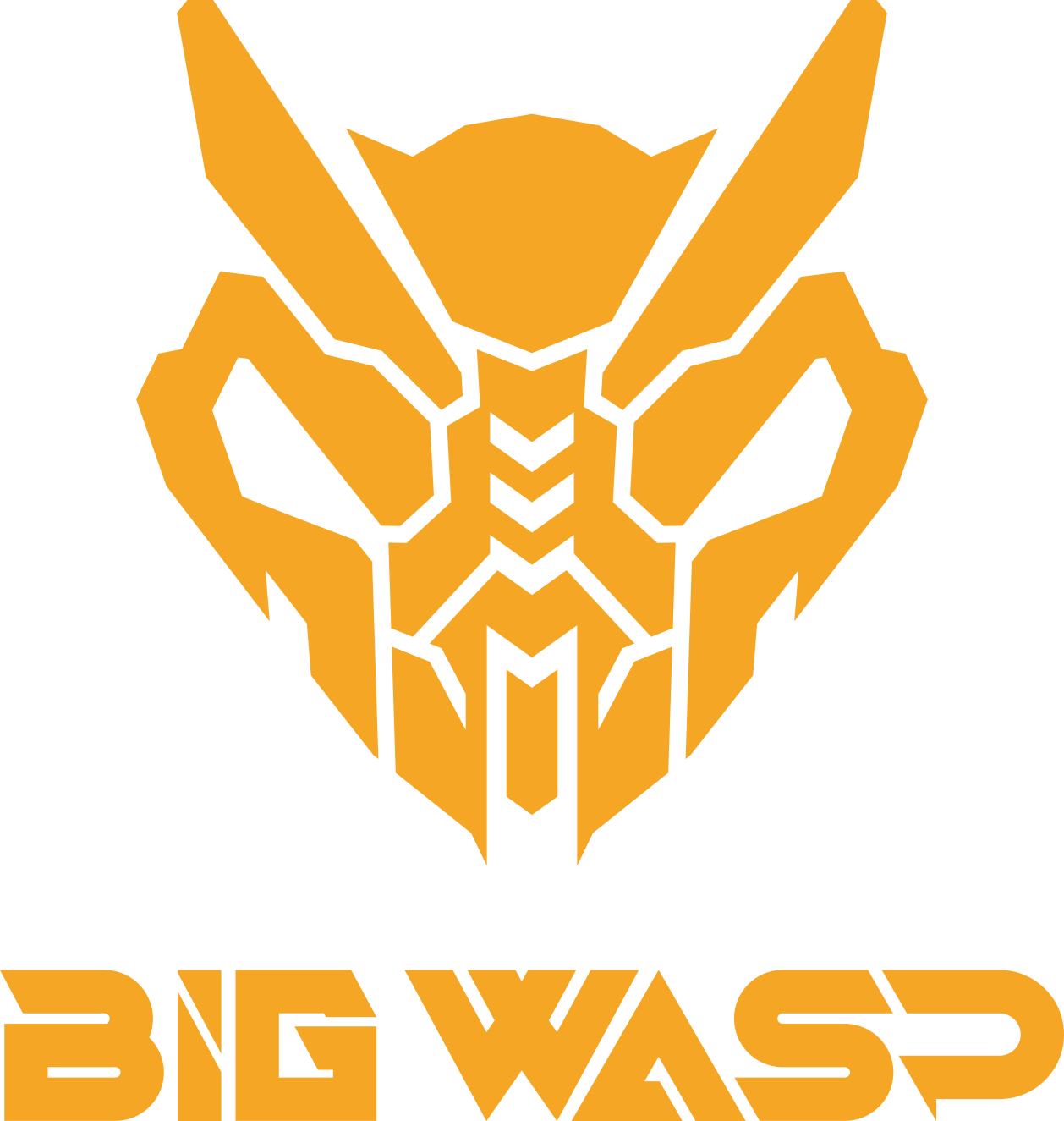 Big Wasp
